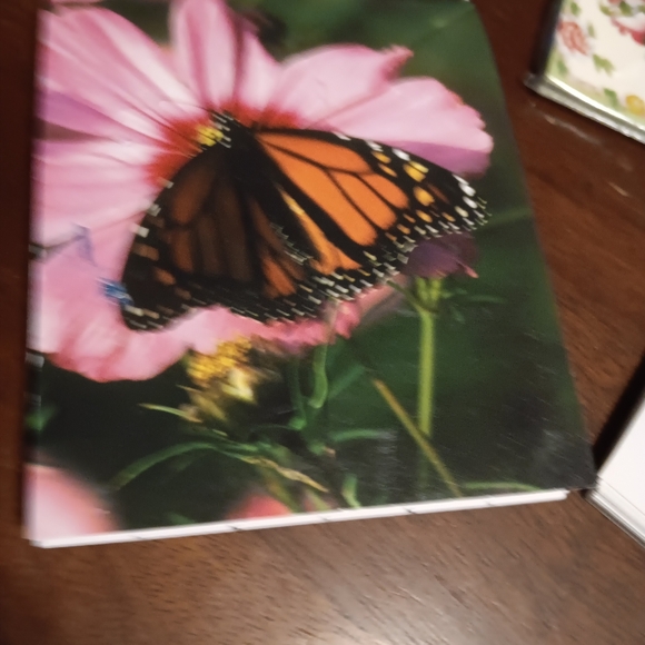 Bridge game papers - Picture 3 of 13